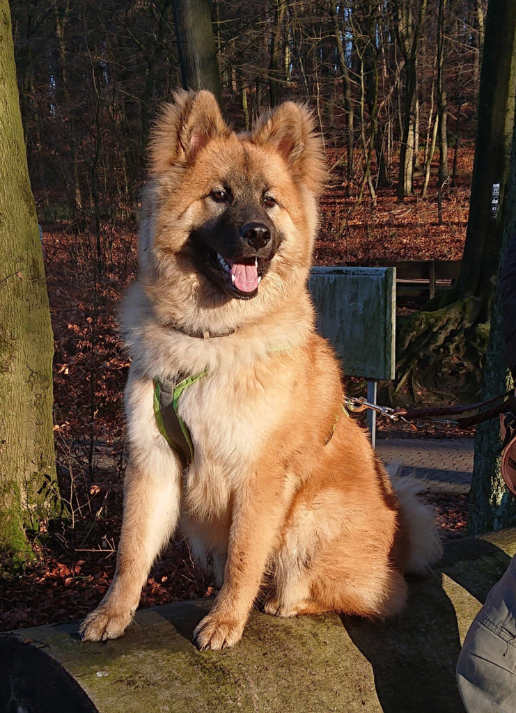 Eddie